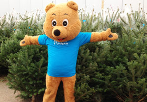 Raffles the bear is looking forward to helping with Pilgrims Ashford Christmas Tree Collections again this year!